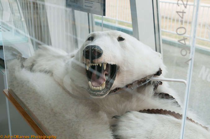 Vancouver:  Maritime Museum