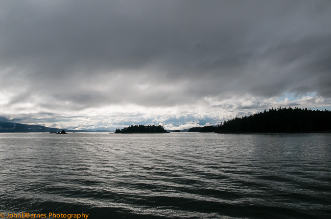 Juneau: Whale watching excursion