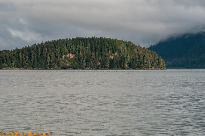 Juneau: Whale watching excursion