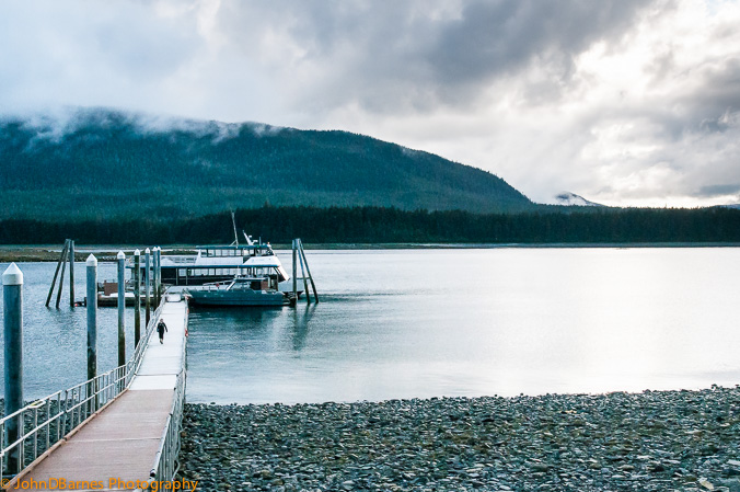 Juneau: Whale watching excursion